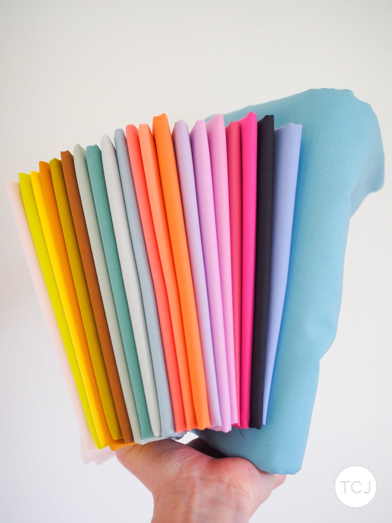 Champagne Rejoice Quilt Kit