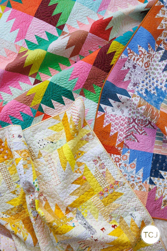 Meet the Color Parade Quilt Pattern