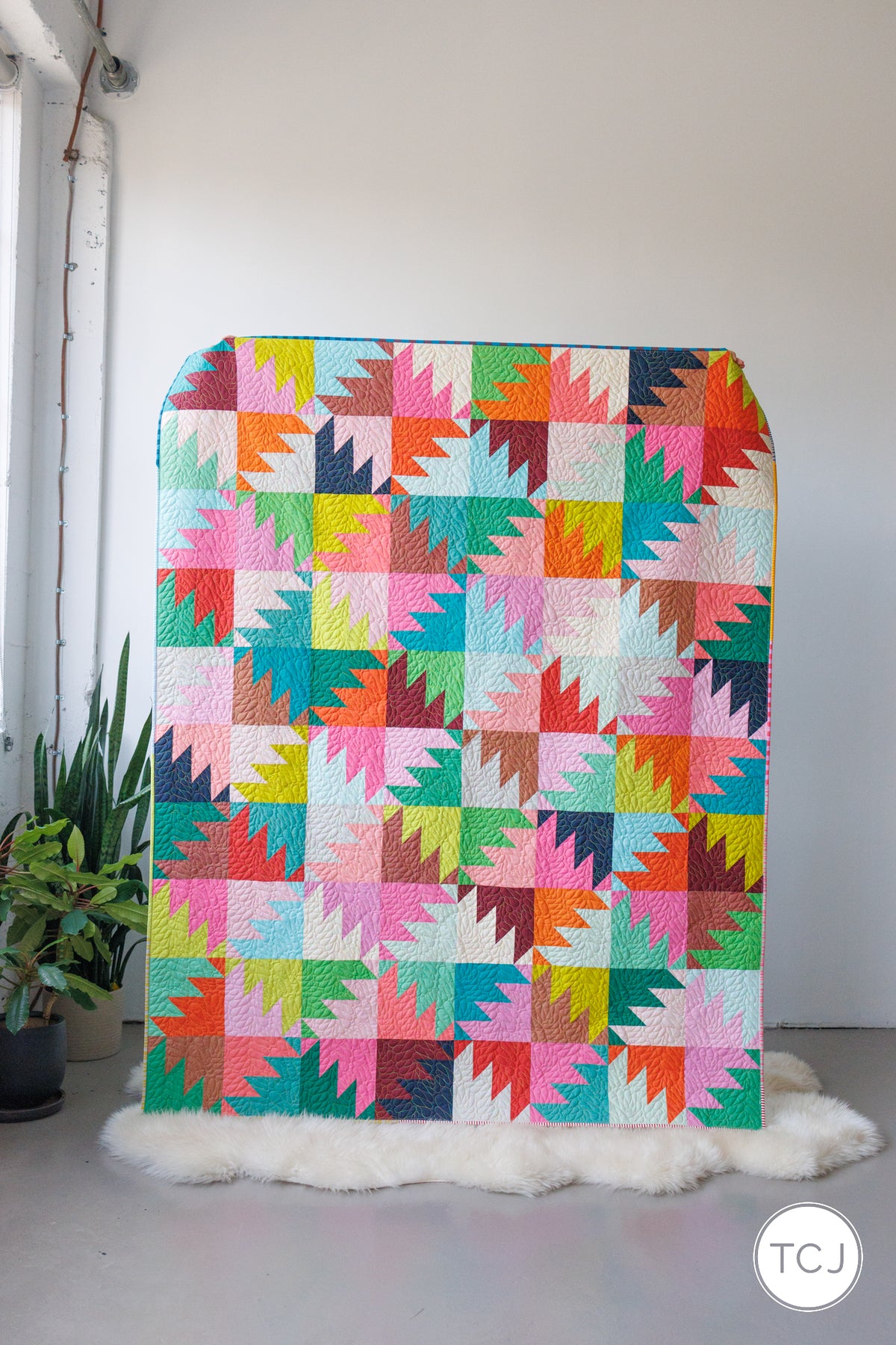 Color Parade Quilt Kit - Cover