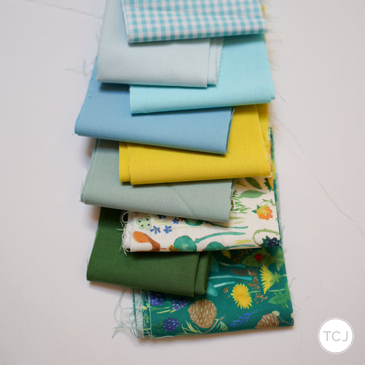 #204 - 2.5" Strips - 9 pieces